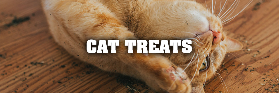 Cat Treats