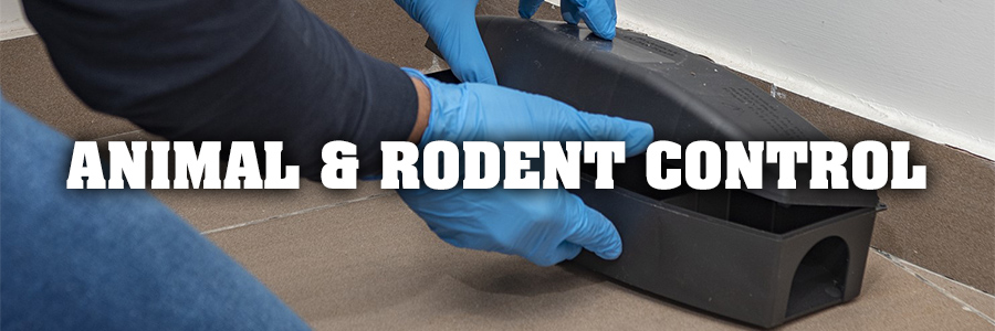 Animal & Rodent Control