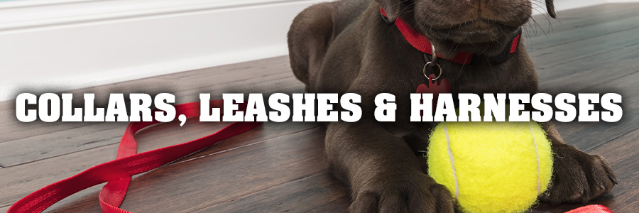 Collars, Leashes & Harnesses