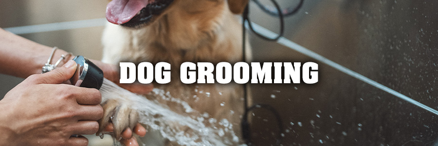 Dog Grooming