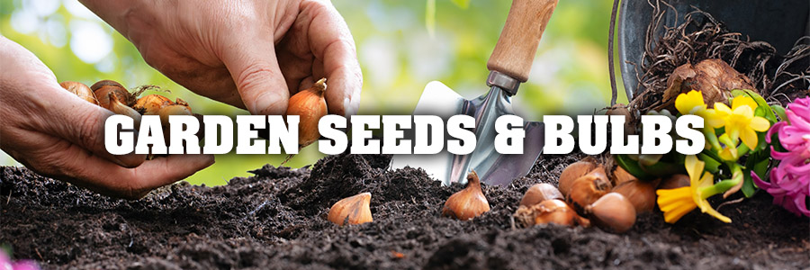 Garden Seeds & Bulbs