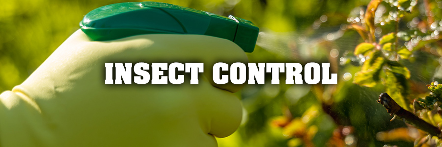 Insect Control