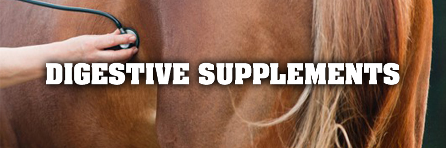 Digestive Supplements