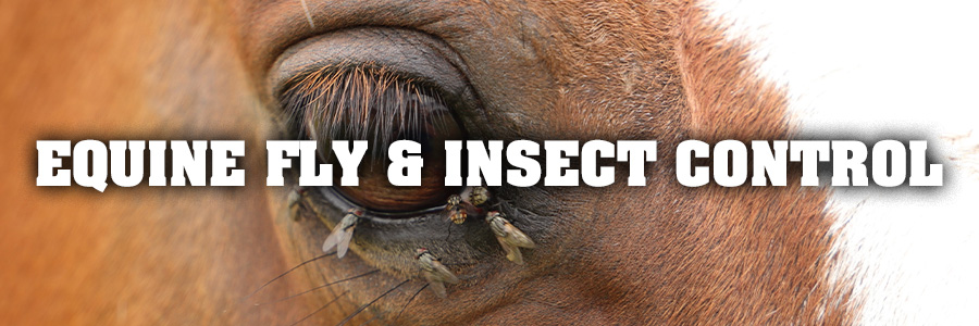 Equine Fly & Insect Control