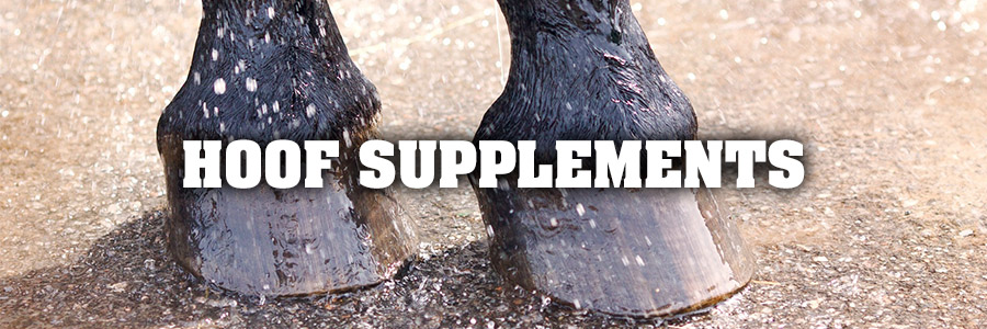 Hoof Supplements