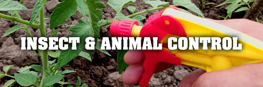 Insect & Animal Control